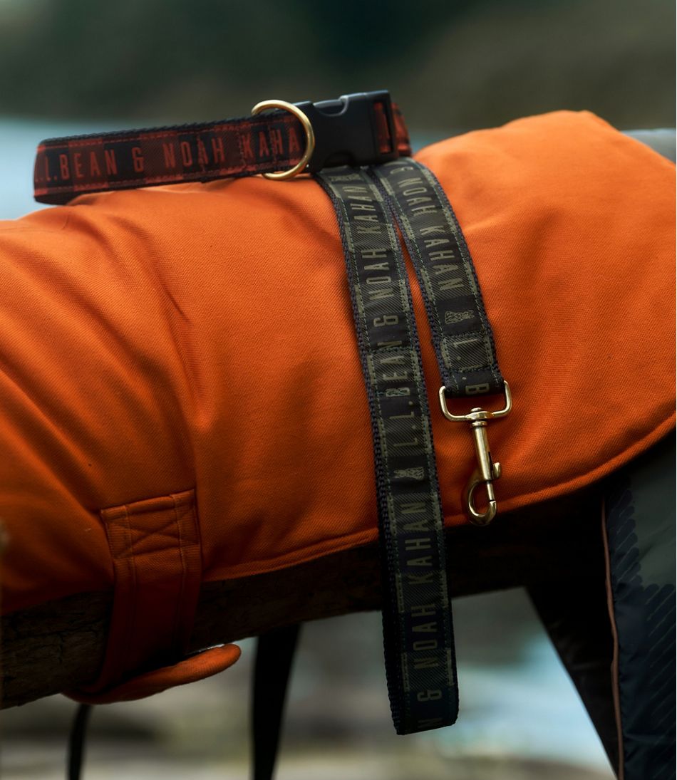 & Noah Kahan Novelty Dog Collar