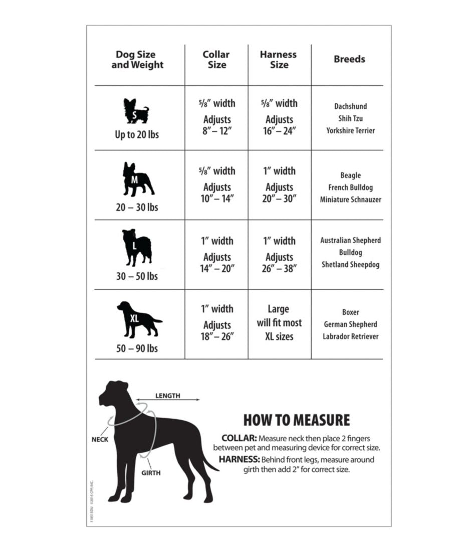Personalized Pet Collar, Reflective