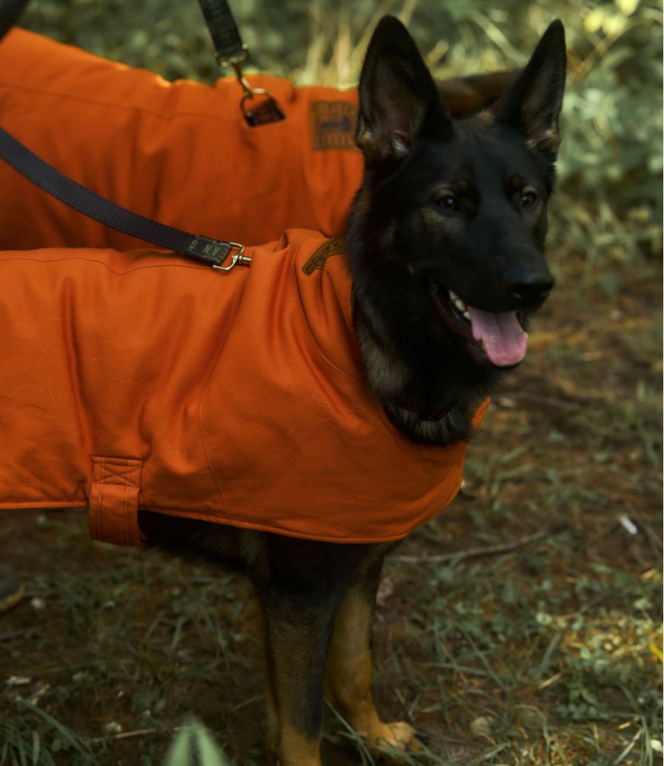 & Noah Kahan Reversible Field Coat for Dogs