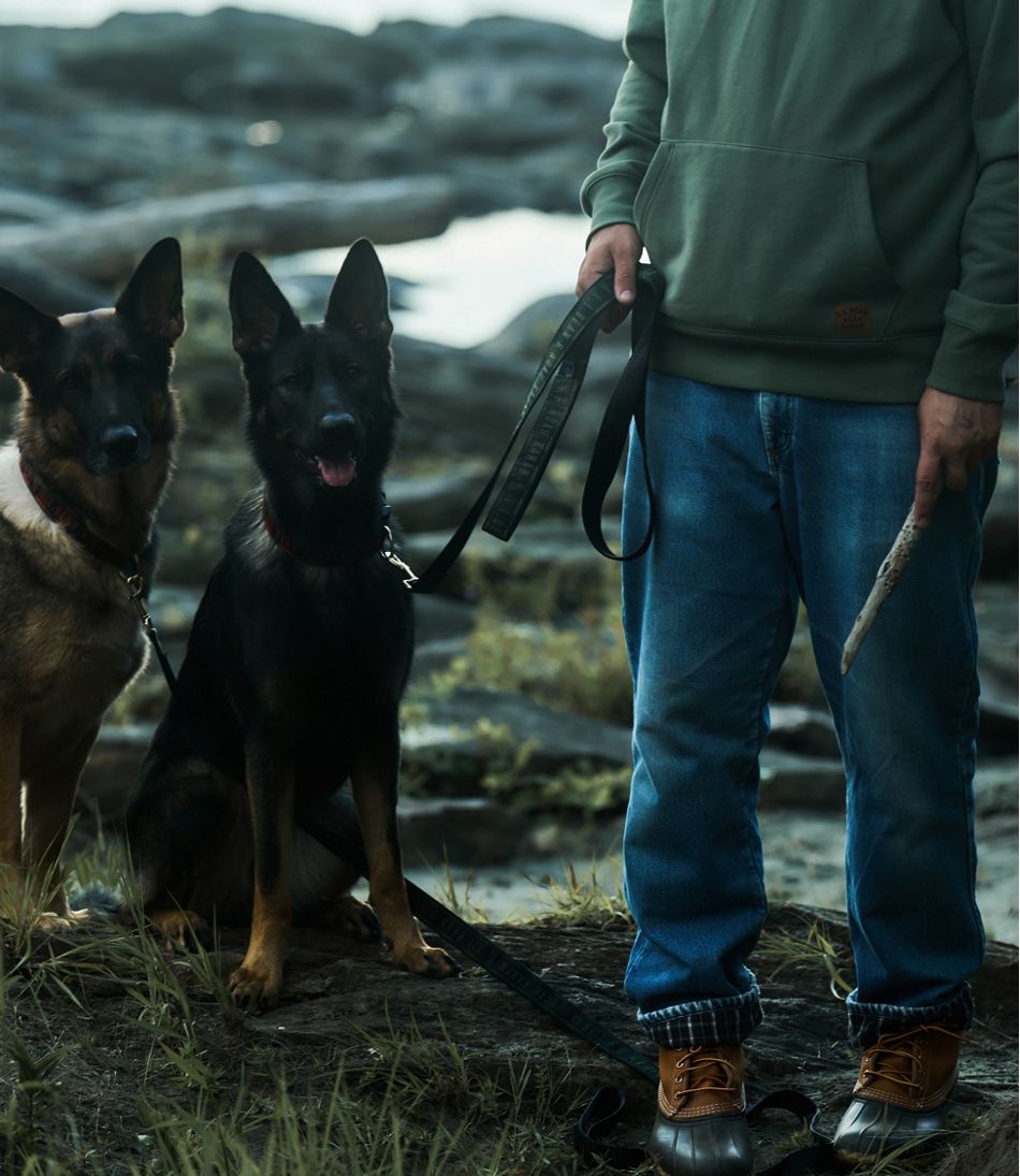 & Noah Kahan Novelty Dog Leash
