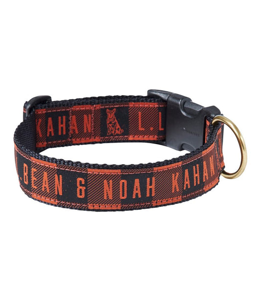 & Noah Kahan Novelty Dog Collar