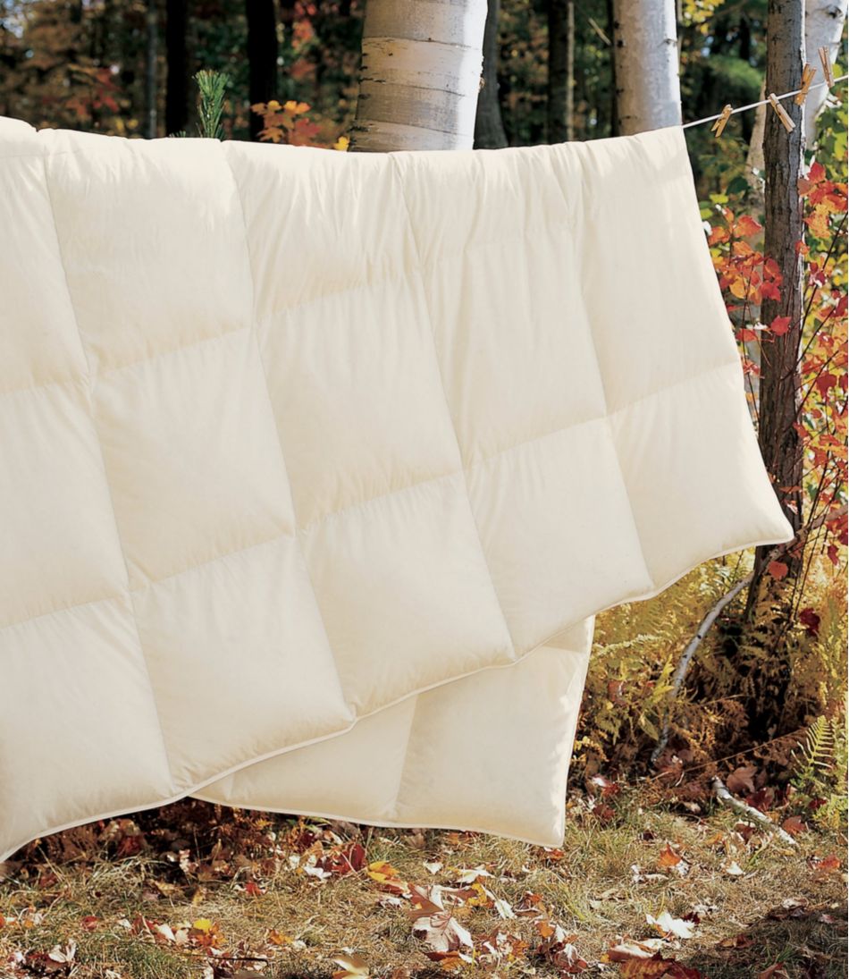 Box-Stitch Goose Down Comforter, Warm