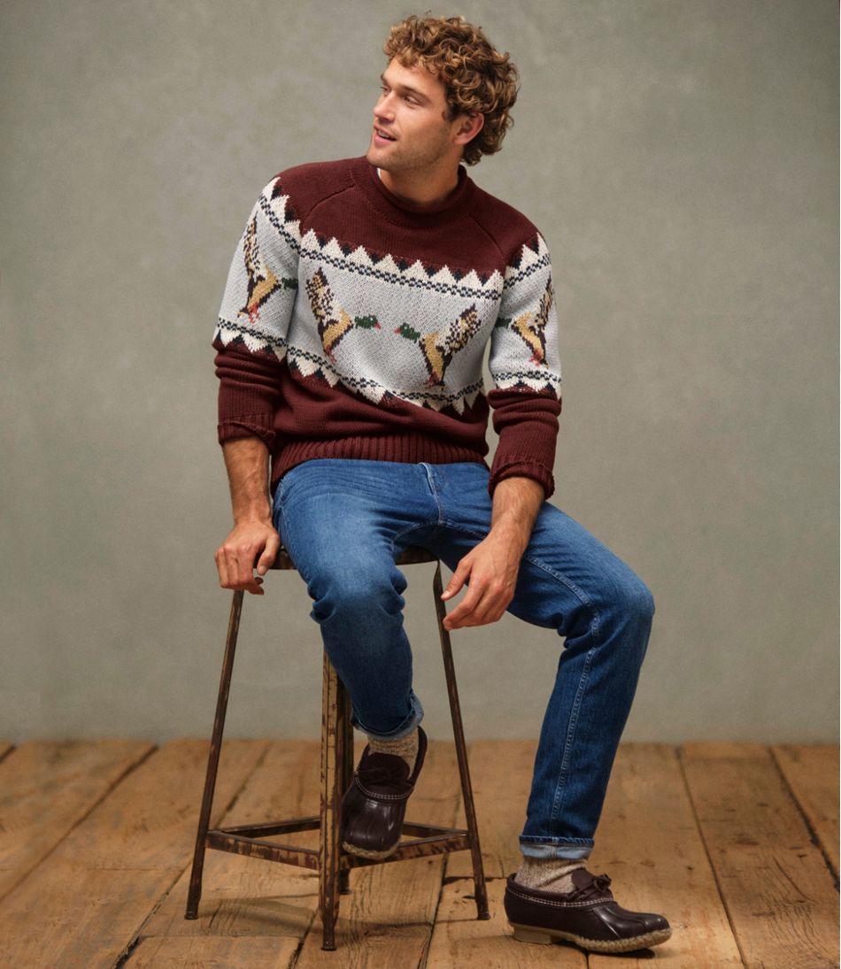 Men's Signature Organic Cotton Rollneck Sweater, Fair Isle