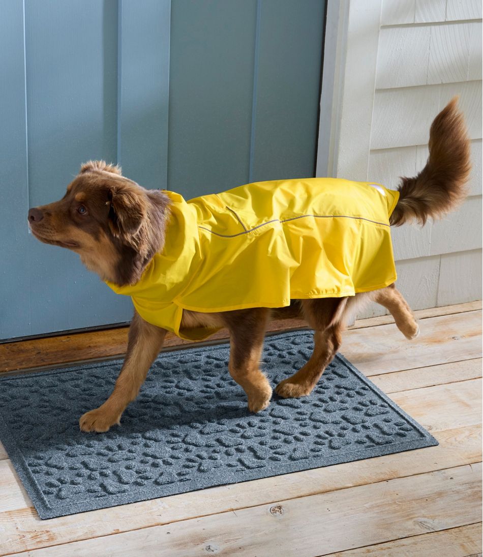 Recycled Waterhog Dog Mat, Scattered Paws
