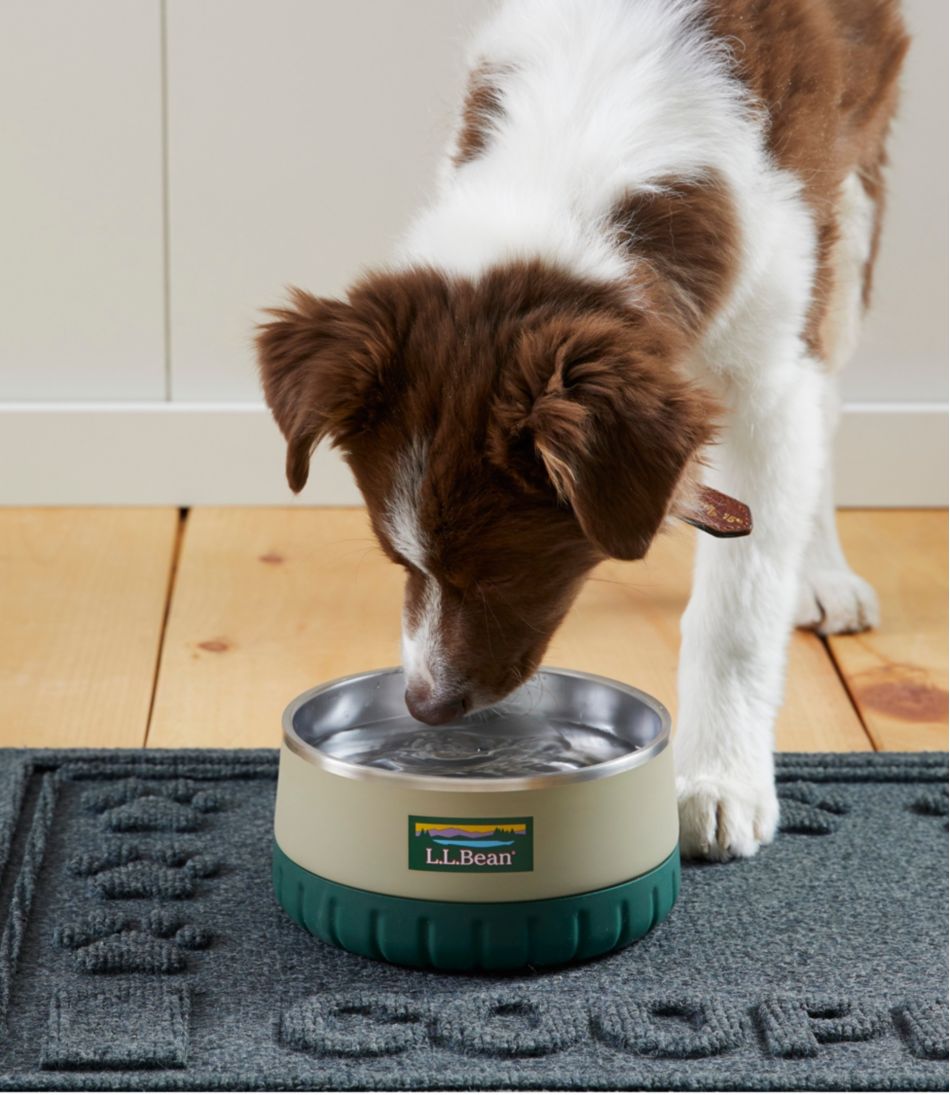 Recycled Waterhog Dog Placemat, Personalized
