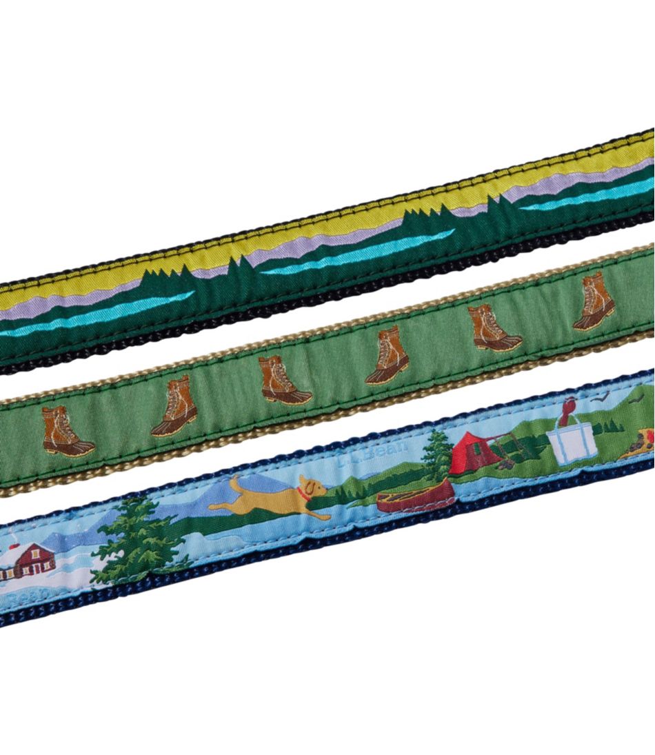 Novelty Dog Leash